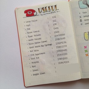 Ideas para hacer un Bullet Journal